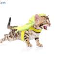 for Cats Dinosaur Wing Kitten Animal Theme Halloween Costumes. 