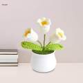 Hand Woven Flowers Fake Plants Knitted Flower Potted for Home Desk Desktop. 