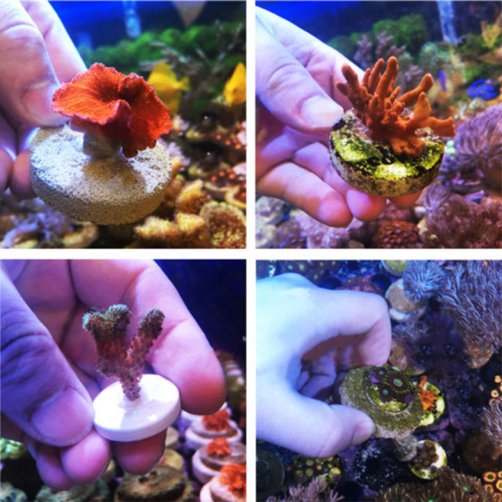 GC%2050g%20Fast-drying%20Glue%20Strong%20Adhesive%20Safe%20Non-toxic%20Glue%20Aquarium%20Landscape%20Supplies%20specification%20-%20Image%207