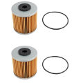 2Set Transmission Filter with O-Ring for Hydro Gear 71943.