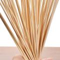 Bamboo Wooden skewers Stick for Kabab,Paneer Tikka,seekh,Barbeque and Grilling - 8 Inch 50pcs.