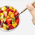 Titanium Outdoor Gadget Edc Portable Multi-functional Toothpick Bottle Fruit Fork Camping Toothpick Tube. 