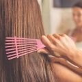 【Daily Necessities For Anyone Store】Octopus Detangling hair Brush Scalp Massage Silicone  Women Curly Wide Professional Anti Knot Air Cushion Salon. 