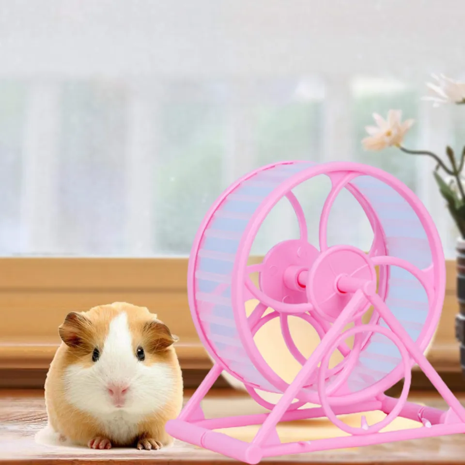 Hamster toy on wheels online