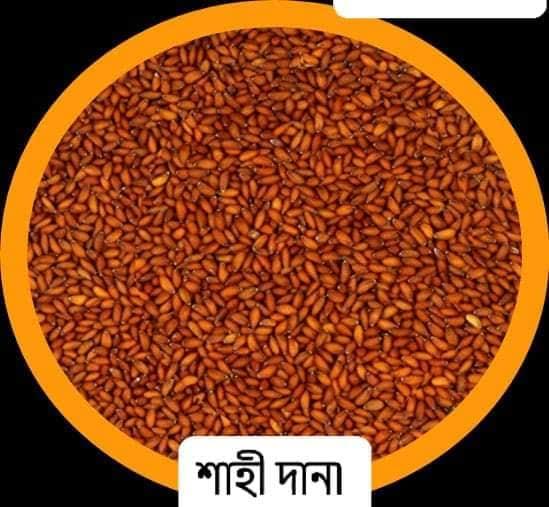 Sahi%20Dana%20/%20Halim%20Dana/%20Garden%20cress%20Seed%20-100gm%20-%20Image%202