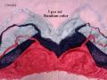 3 Pieces Combo Pack Net Bra for Women.