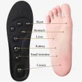 EiD Big Magnets Foot Massage Magnetic Insoles Feet Massage Physiotherapy Therapy Acupressure Slimming Insoles for Weight Loss. 