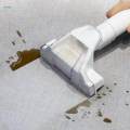 Carpet Upholstery Cleaner Carpet Washer for Car Auto Detail Pet Stains. 