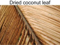 nice Coconut Stick Large Sweeping Broom (Sholar Jharu): 1 Pc. 