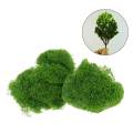 1Pack of 10g Model Static Grass Powder, Fake Grass for Miniature ,Terrain Landscape DIY Artificial, Sand Table Scenery Railway Layout. 