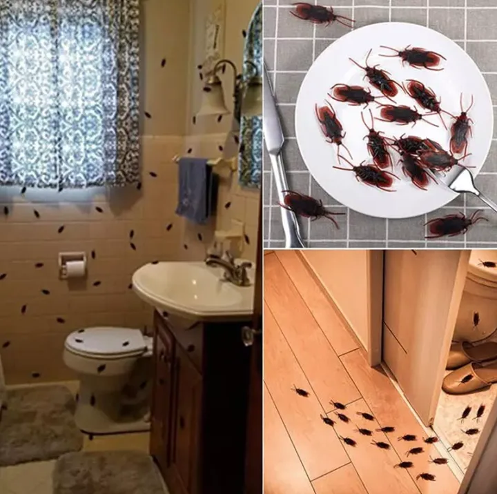 5%20PCS%20Artificial%20Cockroach%20Models%20Simulated%20Animal%20Halloween%20Party%20Trick%20Toys%20-%20Image%204
