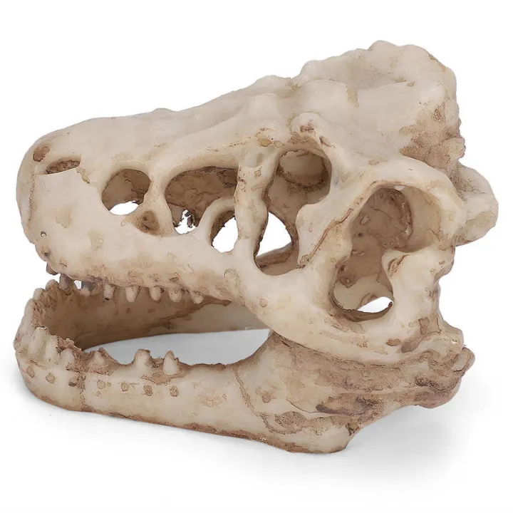 fish%20tank%20decor%20artificial%20simulation%20dinosaur%20skull%20shape%20for%20water%20lan%20-%20Image%209