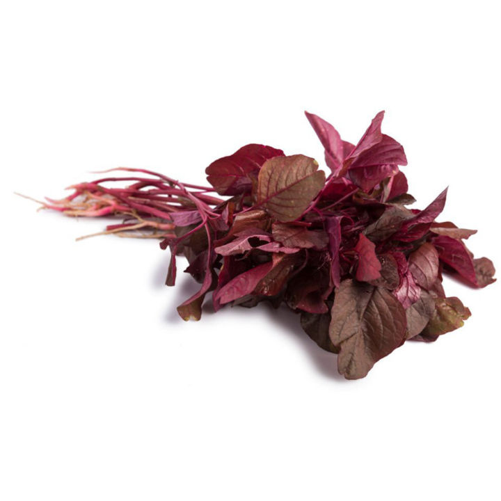 6%20type%20of%20vegetable%20seeds%20(300%20seeds%20total)%20Data%20shak,%20lalshak,%20jali%20kumra,%20dhundol,%20korola,%20puishak%20-%20Minimalistic%20Sophistication%20-%20Image%203