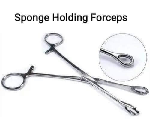 Sponge Holding Forceps Surgical Instruments