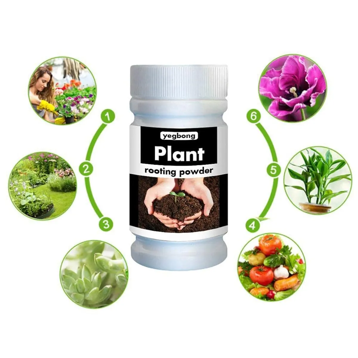 Rooting Powder, Rooting Hormone Powder for Easy to Root Plants Rooting ...