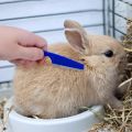 Rabbit Grooming Brush Small Pet Hair Remover Flea Comb Shampoo Bath Brush for Rabbit Hamster Guinea Pig Cleaning Tool.