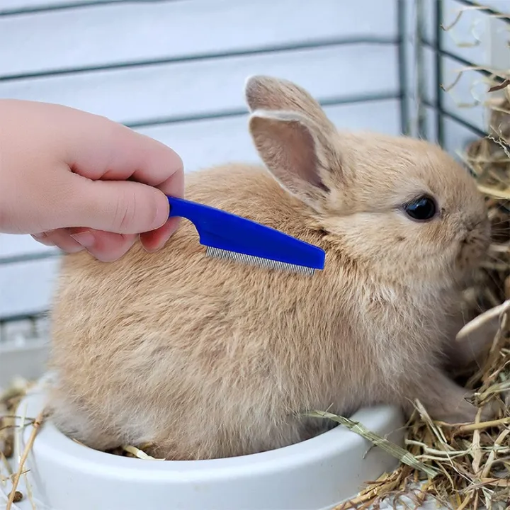 Rabbit%20Grooming%20Brush%20Small%20Pet%20Hair%20Remover%20Flea%20Comb%20Shampoo%20Bath%20Brush%20for%20Rabbit%20Hamster%20Guinea%20Pig%20Cleaning%20Tool%20-%20Image%204