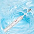 Driyau 6 Modes Sonic Electric Toothbrush Induction USB Rechargeable Ultra Sonic Smart Timer Automatic Tooth Brush + 4 Heads. 