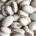 Bean Seed White/ Simer Bichi Sada- 500 gm. 