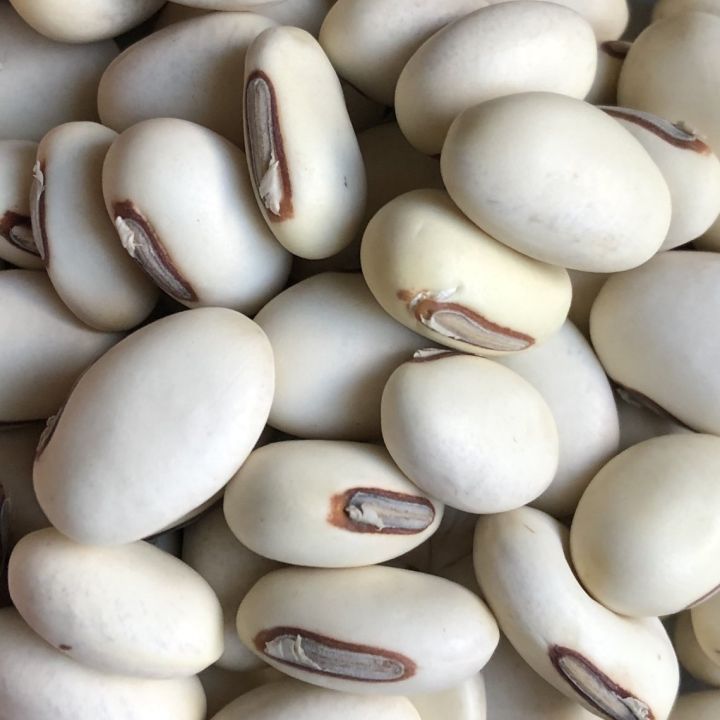 Bean Seed White/ Simer Bichi Sada- 500 gm