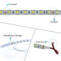 5050 SMD 5M 12V LED Strip light 12 v Waterproof LEDStrip tape lamp RGB RGBW RGBWW Yellow Pink Ice Blue Diode Ribbon Fleible-Blue-IP20 IP65 --.