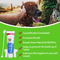 Bioline Dental Kit for Dogs Beef/Orange Flavor Toothpaste & Toothbrush Pet Oral Teeth Cleaning Set Double.