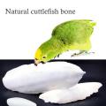 Cuttle Bone for Budgerigar, Love Bird, Cockatiel, Java and Parrot -100gm. 