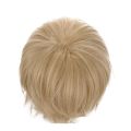 RANYU Short Synthetic Wig Blonde Men Straight Hair Wig for Anime Cosplay Daily Party Heat Resistant.