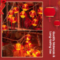 Auoyo Spring Festival Lantern String New Year Celebration Light Lantern Red Lantern Festival Atmosphere Decoration Curtain Light String Chinese Red Lanterns Decorations Hanging Lanterns with Tassel. 