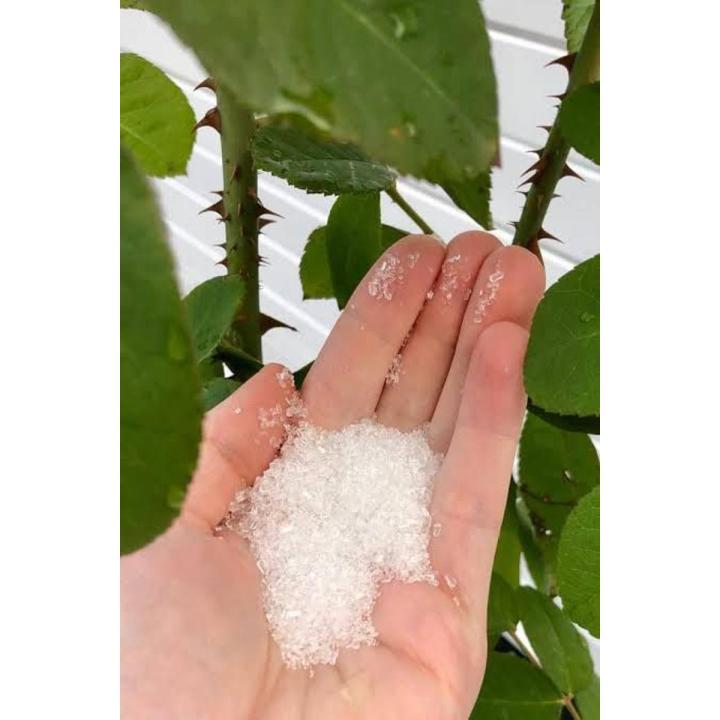 Epsom%20Salt%20-%20100%20gram%20Pack%20-%20Magnesium%20Sulfate%20For%20Plant%20-%20%E0%A6%87%E0%A6%AA%E0%A6%B8%E0%A6%AE%20%E0%A6%B8%E0%A6%B2%E0%A7%8D%E0%A6%9F%20-%20Image%203