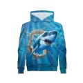 1.Black And White Cat 3D Print Boys Casual Pullover Hooded Long Sleeve Sweatshirt For Spring Fall, Kids Hoodie Tops Outdoor. 