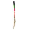 Cricket Bat - Multi Color.