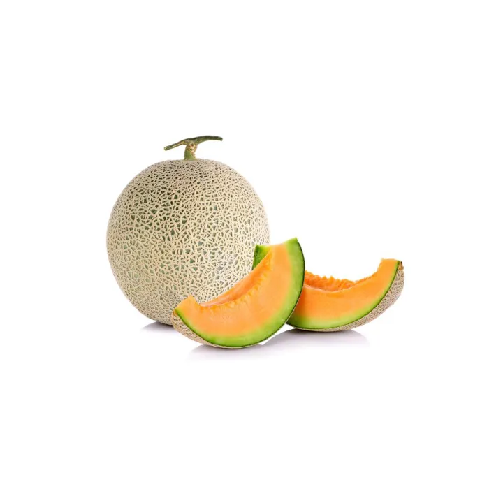 05%20pcs%20Rock%20Melon%20(%E0%A6%B8%E0%A6%BE%E0%A6%AE%E0%A7%8D%E0%A6%AE%E0%A6%BE%E0%A6%AE%20%E0%A6%AB%E0%A6%B2%20)%20Seeds.%20/%20Rock%20Melon%20%20seeds%20-%20Image%202