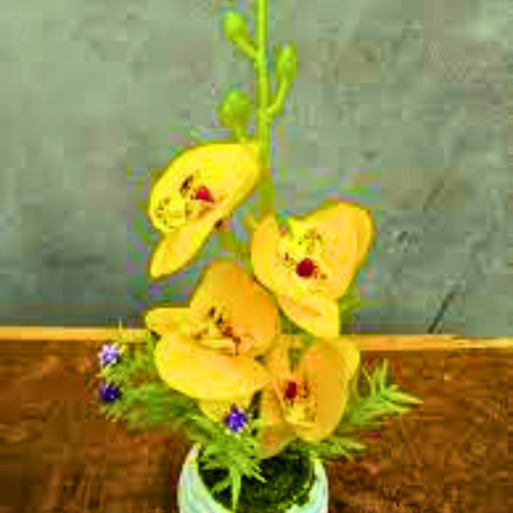 Orchid%20flower%20Artificial%20rubber%20tree%20plant%20for%20home%20decoration.%20flower,%20flowers,%20grass,%20hanging,%20wall,%20leaf,%20carpet,%20pot,%20cutter,%20light%20stand,%20indoor%20-%20Image%205