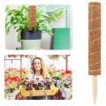 Extended Coir Moss Totem Pole, Coco Coir Poles Coconut Fibre Support Stake, Plant Support Pole 12PCS. 
