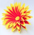 Beautiful Paper flowers- Paper Flowers for Home Decoration (Expensive). 