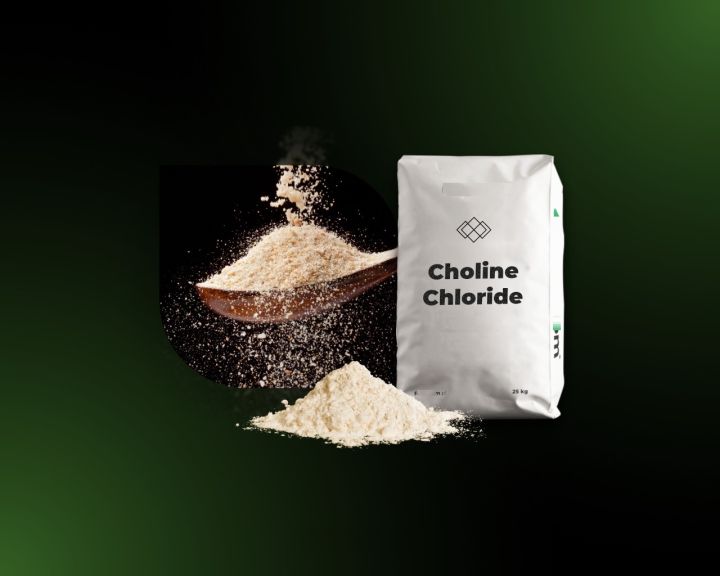 Choline%20chloride%20yellow%20brownish%20dry%20flowable%20Powder%20Poultry%20layers%20&%20broilers%20all%20bird%20and%20animal%20Feed%20for%20reduce%20poultry%20fat%20treat%20fatty%20liver%20disease%20and%20liver%20cirrhosis,%20also%20used%20as%20livestock%20feed%20additives%20-%20Image%204