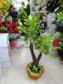 Artificial Plastic Plant Tree -.