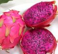 10 Pcs Dragon Pitaya Fruit Seeds - 10 Pcs Seeds (Global Imported). 