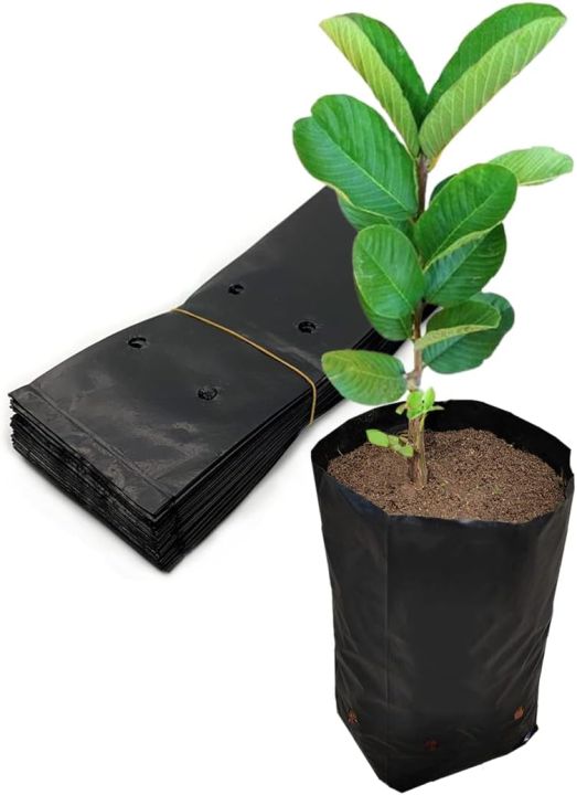 Nursery%20Growing%20Bags,%2016''x16"%20%C3%ADnch100%20Pcs%20Black%20poly%20Bag%20Plastic%20Seedling%20Pots%20for%20Gardening%20Seed%20Plant%20Bags,%20Fruit%20Tree%20Seedling,%20Starting%20saplings(16''x16")%20Black%20nursery%20poly%20bag%20gardening%20black%20poly%20bag%20-%20Image%207