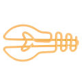 Paper Clips, Plating Process Bulb Shape Rust Prevention Metallic Paper Clips for Student for File Classification.