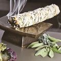 【Daily Necessities For Anyone Store】White Sage udge Stick Wisp Plant For Room Purification Fresheners Decoration Supplies Accessories.