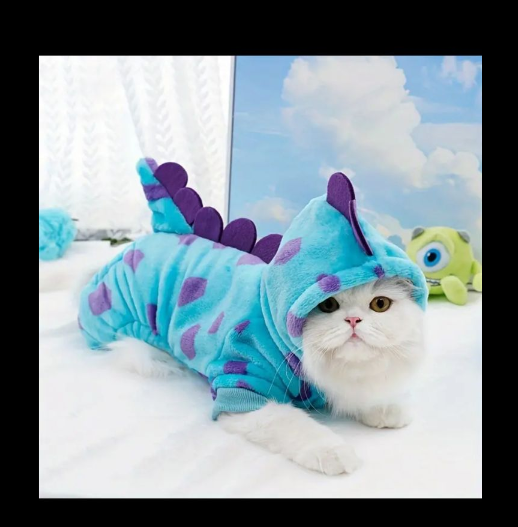 cat costume cute fancy dress small size for kitten