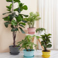 Pot Eco-friendly Office Plastic Flower er Pot. 