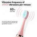 Children's Electric Toothbrush With 6PCS Replacement Brush Heads Ultrasonic Sonic Vibration Tooth Brush Oral Cleaning Tools. 