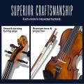 Cecilio CVN-300 Solid Wood Ebony Fitted Violin. 