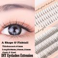 【The Edge of Beauty】DIY Eyelashes Extension Interperse Natural Vivid Individual Lashes A Shape Cluster Fishtail. 