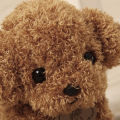 （New）Cartoon Cute Poodle Dog Puppy Pluh tuffed Doll Huggable Toy Home Ornament Gift. 