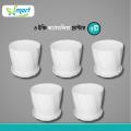 4 Inch Camellia Planter With Tray - 5 Pcs. 