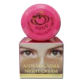 Active Gold Anti Melasma Night Cream 20g. 